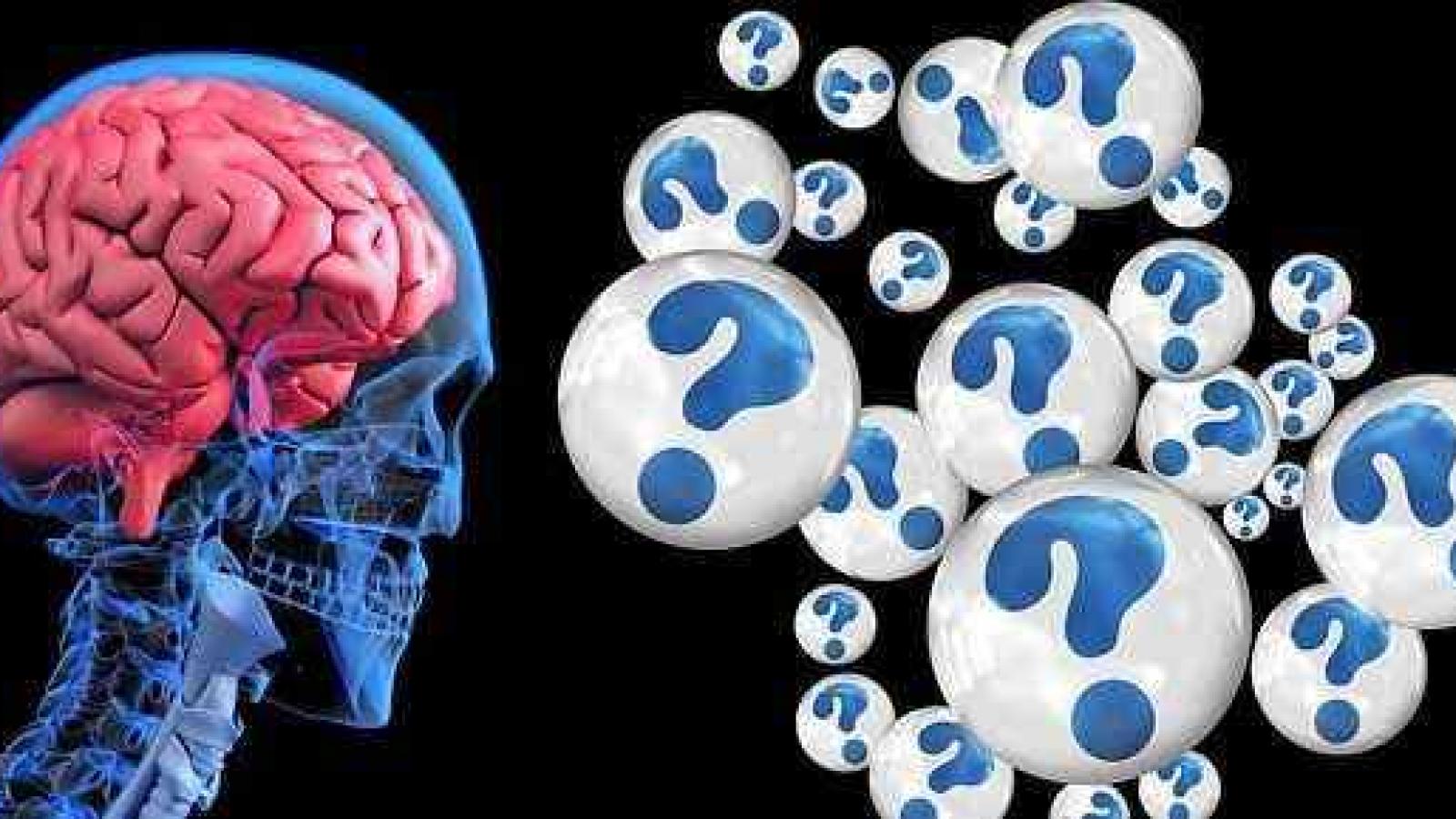 Are the brain and behaviour linked?