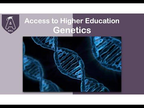 Access course -  Access to Higher Education Genetics (Online Study)